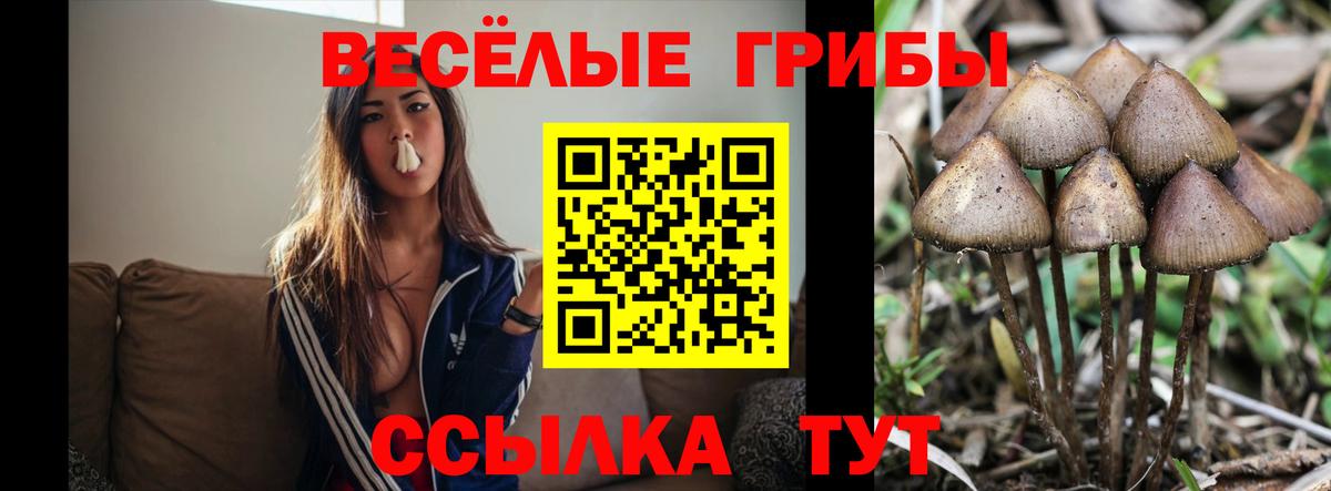 Галлюциногенные грибы GOLDEN TEACHER  Псилоцибиновые грибы Psilocybe  Вход с VPN  Кирово-Чепецк 